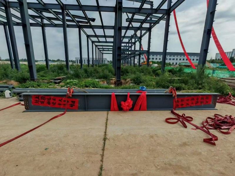 شركة Yongcheng Xingye Steel Brustge شركة تسريع بناء ورشة عمل Hebei Bosheng الغذائية